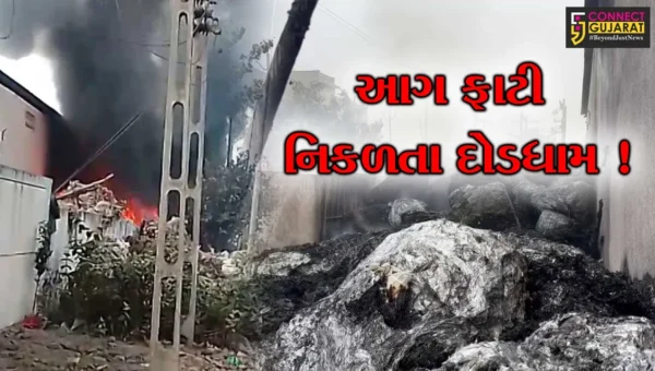 અંકલેશ્વર: GIDCમાં આવેલ ઇન્ડોકેમ ગણેશ ઇન્ડસ્ટ્રીઝમાં આગ,ફાયર વિભાગે આગ પર મેળવ્યો કાબુ