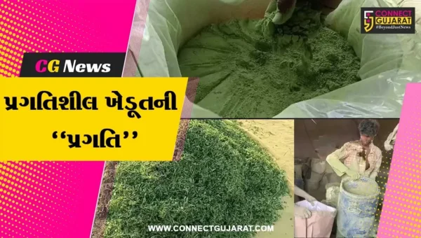 અમરેલી : લાઠીના પ્રગતિશીલ ખેડૂતે ઘઉંના જુવારામાંથી આરોગ્યપ્રદ પાવડર બનાવી મેળવી મબલખ આવક…