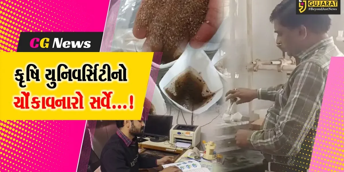 જૂનાગઢ : ખેતીમાં જંતુનાશક દવાના વધુ પડતા ઉપયોગથી પોષક તત્વોમાં સર્જાઈ ખામી,કૃષિ યુનિવર્સીટી દ્વારા કરાયો સર્વે
