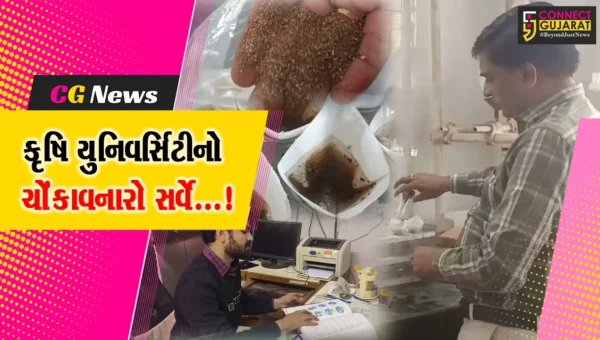 જૂનાગઢ : ખેતીમાં જંતુનાશક દવાના વધુ પડતા ઉપયોગથી પોષક તત્વોમાં સર્જાઈ ખામી,કૃષિ યુનિવર્સીટી દ્વારા કરાયો સર્વે
