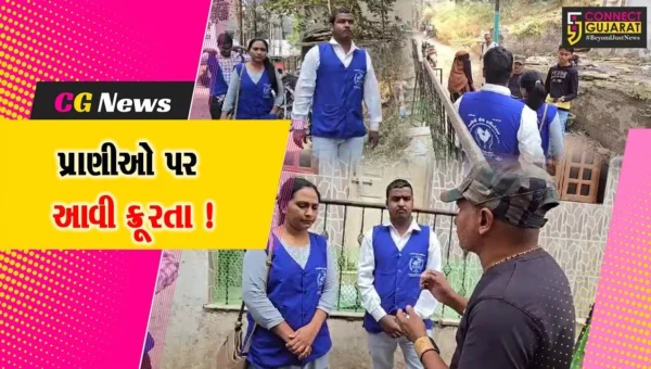ભરૂચ:સોનેરી મહેલ વિસ્તારમાં શ્વાનને લાકડીના ફટકા ઝીંકી મોતને ઘાટ ઉતારાય, મહિલા પહોંચી પોલીસ મથકે