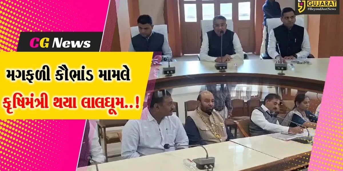 જુનાગઢ : મગફળી કૌભાંડ મામલે કૃષિમંત્રી રાઘવજી પટેલ થયા લાલઘૂમ, કહ્યું : કોઈપણ કૌભાંડીને બક્ષવામાં નહીં આવે..!