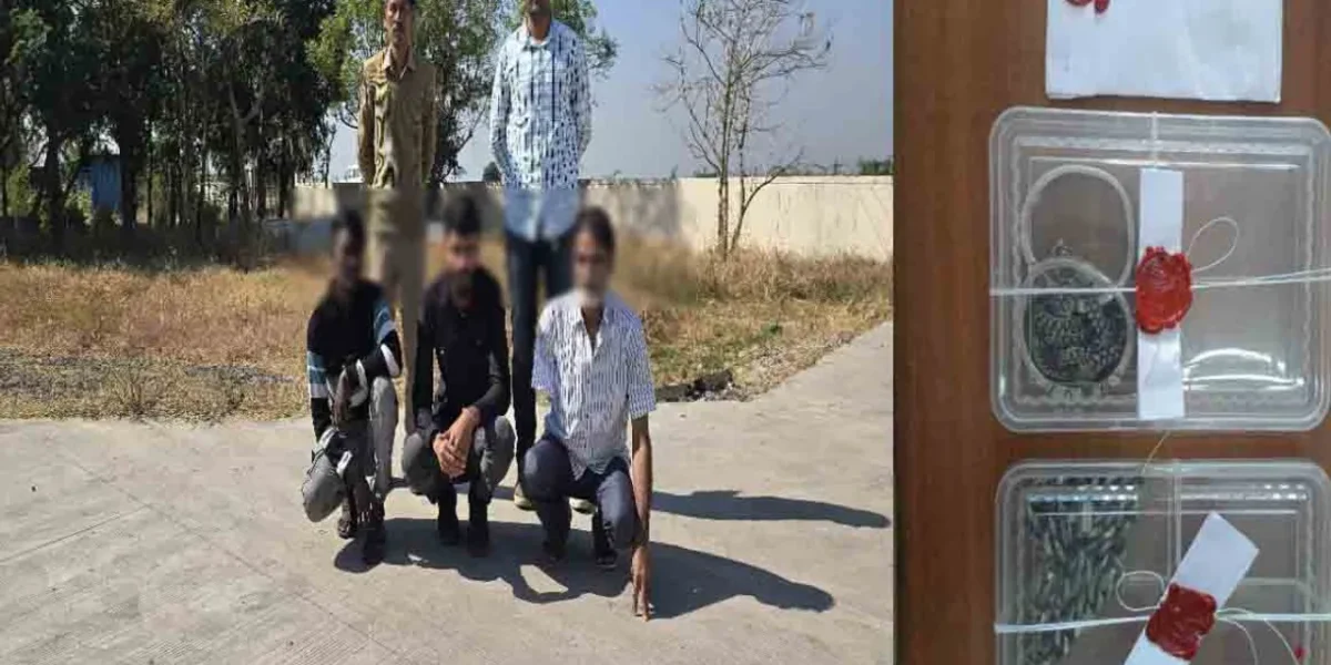 ભરૂચ: દહેજમાં બંધ મકાનમાંથી  ચોરી કરનાર તસ્કરની ધરપકડ,ચોરીના દાગીના ખરીદનાર સોની પણ ઝડપાયો
