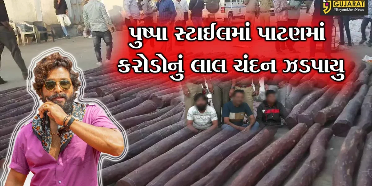 પાટણ: આંધ્રપ્રદેશથી ગુજરાતમાં લાલચંદન ઠલવાયું,ગોડાઉનમાંથી રક્તચંદનના 150 ટુકડા મળી આવતા ચકચાર