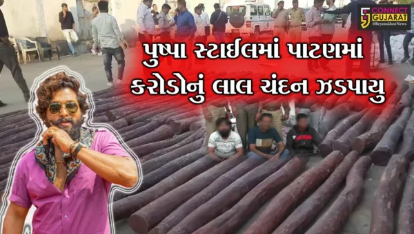 પાટણ: આંધ્રપ્રદેશથી ગુજરાતમાં લાલચંદન ઠલવાયું,ગોડાઉનમાંથી રક્તચંદનના 150 ટુકડા મળી આવતા ચકચાર