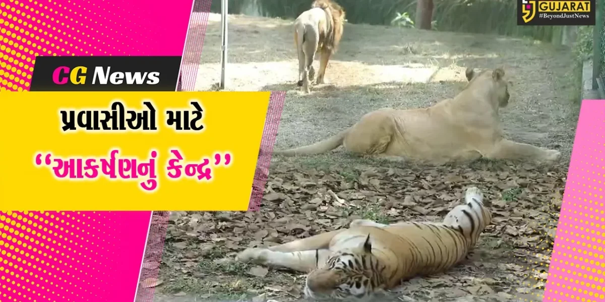 સુરત : છેલ્લા 3 વર્ષમાં સરથાણા નેચર પાર્કની 25 લાખથી વધુ પ્રવાસીઓએ લીધી મુલાકાત