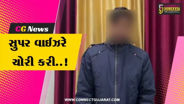 સુપર વાઈઝરે જ ચોરી કરી..! : જુનાગઢ-સુખપુરના વેર હાઉસમાંથી રૂ. 4 લાખના 135 કટ્ટા ચણાની ચોરીનો ભેદ ઉકેલાયો…