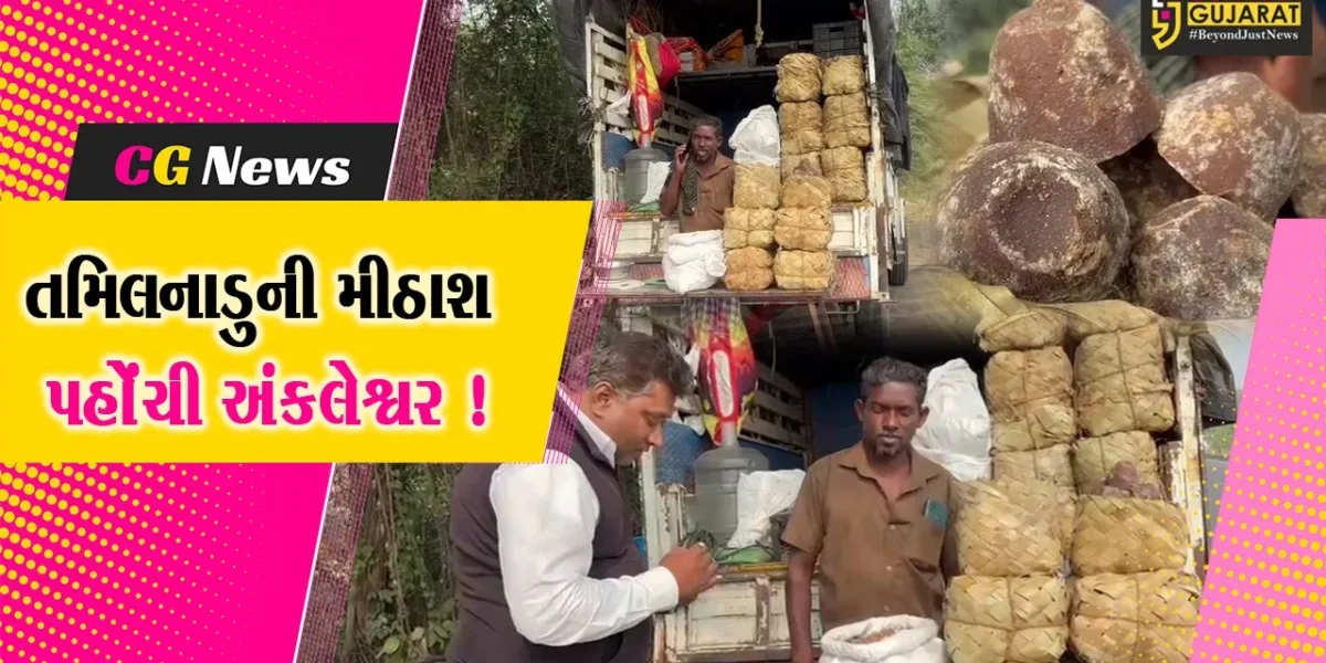 અંકલેશ્વર: નીરામાંથી બનતા આરોગ્ય વર્ધક ગોળનું ધૂમ વેચાણ, તમિલનાડુના વેપારીઓએ લગાવી હાટડીઓ !