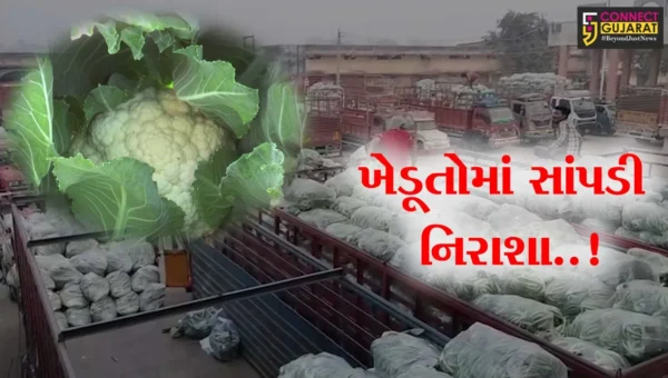 સાબરકાંઠા : પુષ્કળ પ્રમાણમાં થયેલા ફલાવર-કોબીજનો ભાવ સારો ન મળતા ખેડૂતોમાં નિરાશા..!