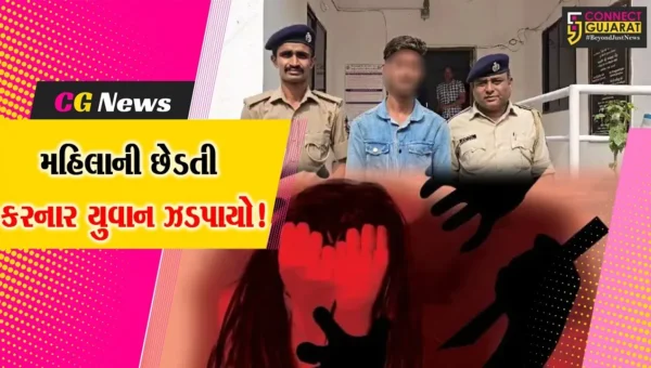 ભરૂચ: દાંડિયા બજારમાં અડધી રાતે મહિલાની છેડતી કરનાર યુવાનની ધરપકડ