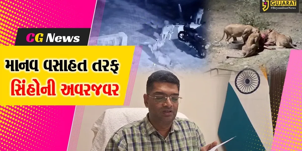 જુનાગઢ : સિંહો હવે, માનવ વસાહત તરફ વળતાં સ્થાનિકોમાં ભય, વન વિભાગ પણ થયું સતર્ક..!