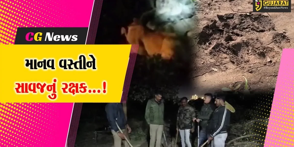 જૂનાગઢ: શહેર બન્યું સિંહોનું રહેઠાણ,ખોરાકની શોધમાં ફરતા સાવજોથી લોકોને મળ્યું રક્ષણ