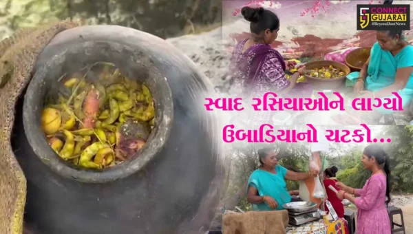 અંકલેશ્વર : વલસાડનું પ્રખ્યાત ઉંબાડિયું સ્વાદ રસિયાઓની જીભે ચોટ્યું, દરરોજ 100 કિલોથી વધુ ઉબાડિયાનું વેંચાણ…