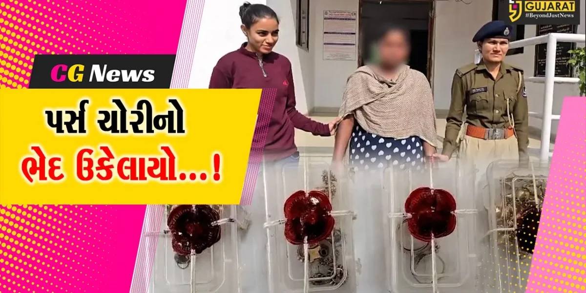 ભરૂચ : સીટી સેન્ટર ખાતેથી વૃદ્ધાના પર્સની ચોરીનો ભેદ ઉકેલાયો, પોલીસે કરી મહિલાની ધરપકડ