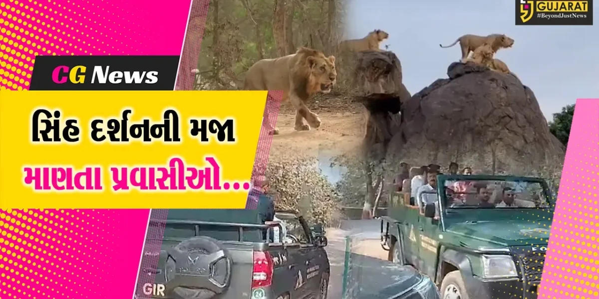 જુનાગઢ : સિંહ દર્શન અને જૈવિક સૃષ્ટિને નિહાળવા સાસણ ગીર અભ્યારણમાં પ્રવાસીઓનો ધસારો…
