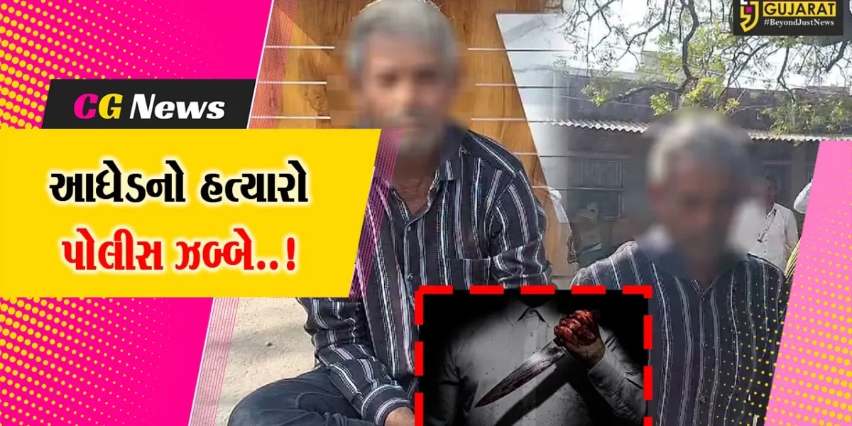 જુનાગઢ : બોથડ પદાર્થના આડેધડ ઘા’ મારી આધેડની હત્યા કરનાર હત્યારો પોલીસના હાથે ઝડપાયો