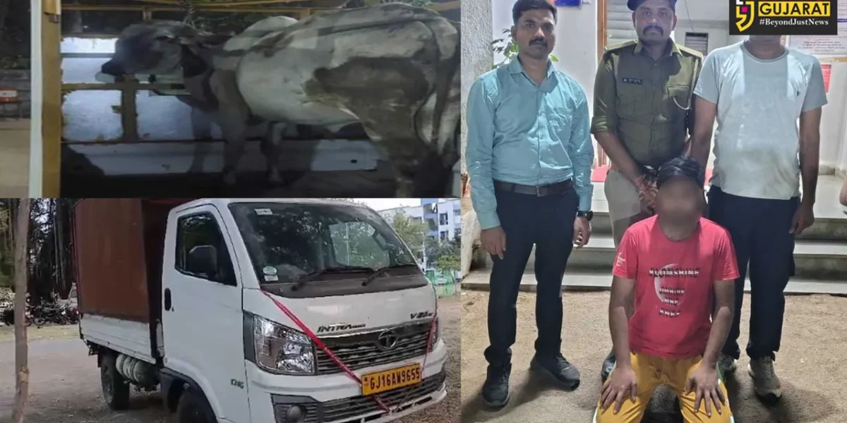 ભરૂચ : વાગરા-કોઠીયા ગામની સીમમાંથી કતલના ઈરાદે લઈ જવાતા ગૌ-વંશને પોલીસે બચાવ્યું, રૂ. 7 લાખનો મુદ્દામાલ જપ્ત…