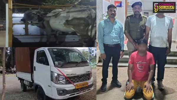 ભરૂચ : વાગરા-કોઠીયા ગામની સીમમાંથી કતલના ઈરાદે લઈ જવાતા ગૌ-વંશને પોલીસે બચાવ્યું, રૂ. 7 લાખનો મુદ્દામાલ જપ્ત…