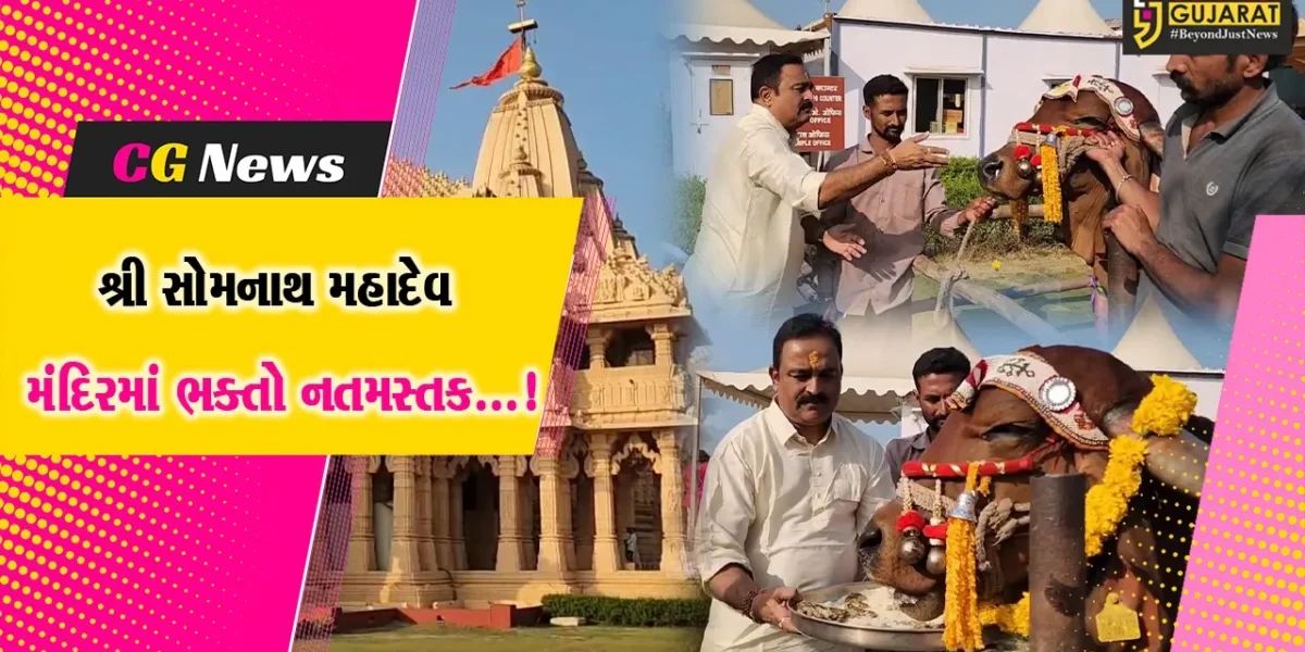 શ્રી સોમનાથ મહાદેવ મંદિરમાં મકરસંક્રાંતિ નિમિત્તે સૂર્યપૂજા,ગૌપુજા સહિતના ધાર્મિક કાર્ય યોજાયા
