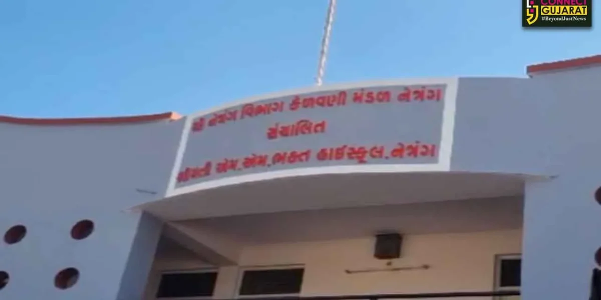 ભરૂચ : નેત્રંગ સ્થિત આર.કે.ભક્ત-એમ.એમ.ભક્ત શાળાનો વાર્ષિકોત્સવ યોજાયો, રંગારંગ કૃતિઓ આકર્ષણનું કેન્દ્ર બની…
