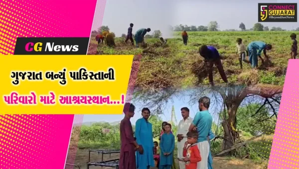 સાબરકાંઠા: ગુજરાતની ભૂમિને આશ્રયસ્થાન બનાવતા પાકિસ્તાની પરિવાર,ભયમુક્ત જીવન જીવીને ખુશી વ્યક્ત કરી