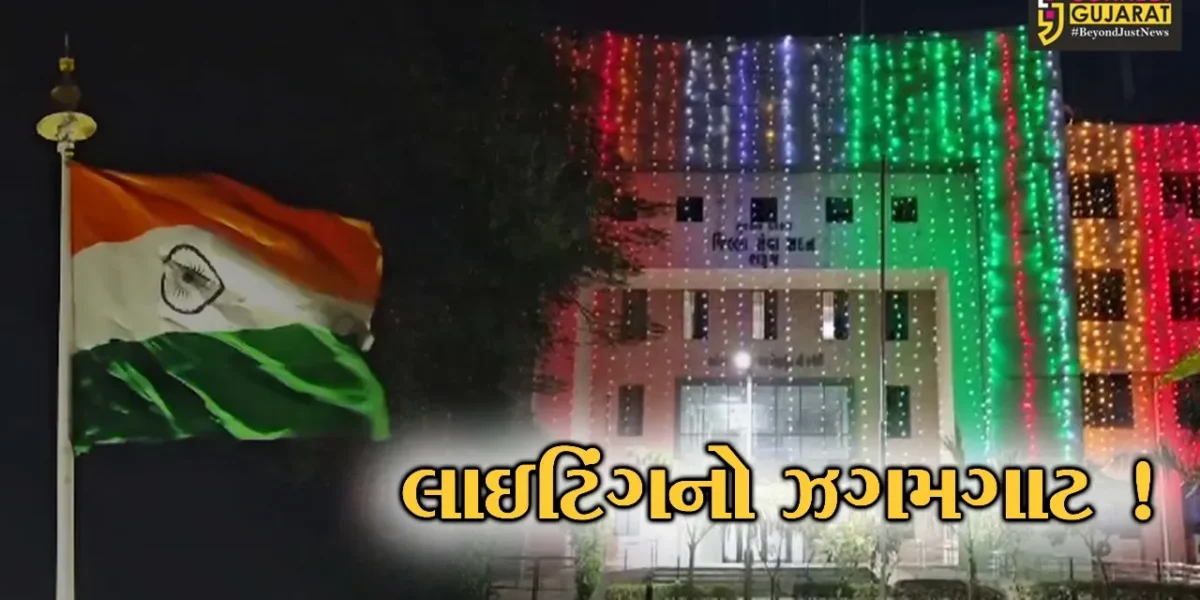 ભરૂચ: પ્રજાસત્તાક પર્વ પર શહેરે નવી દુલ્હનનો સાજ સજ્યો, આકર્ષક રોશનીનો ઝગમગાટ