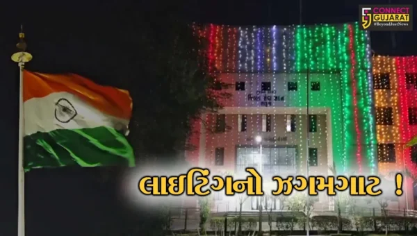 ભરૂચ: પ્રજાસત્તાક પર્વ પર શહેરે નવી દુલ્હનનો સાજ સજ્યો, આકર્ષક રોશનીનો ઝગમગાટ