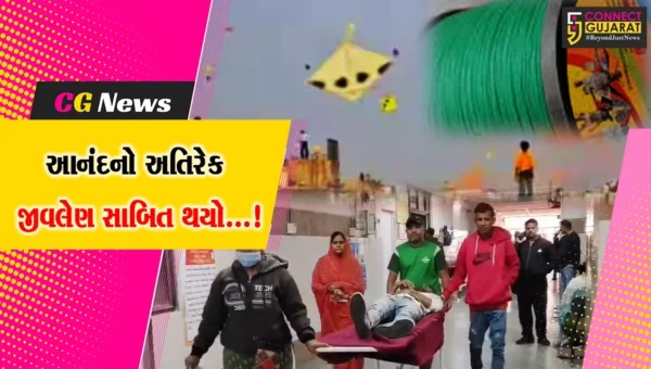વડોદરા : ઉત્તરાયણમાં ગળું કપાતા તેમજ ધાબા પરથી નીચે પટકાતા ચાર લોકોએ જીવ ગુમાવ્યા