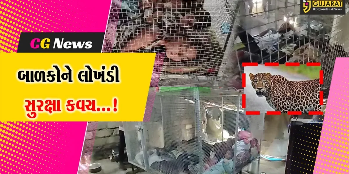 અમરેલી : વન્ય પ્રાણીથી રક્ષણ માટે બાળકોને પિતાએ આપ્યું લોખંડી સુરક્ષા કવચ,મોટું પાંજરું બનાવીને પુત્ર પુત્રીઓનો ડર કર્યો દૂર