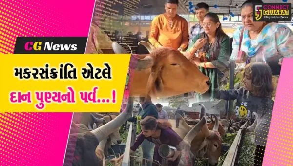 ભરૂચ: મકરસંક્રાંતિ પર્વ પર ગાય માતાને ઘાસ તેમજ ઘૂઘરી ખવડાવી પુણ્યનું ભાથું બાંધતા શ્રદ્ધાળુઓ