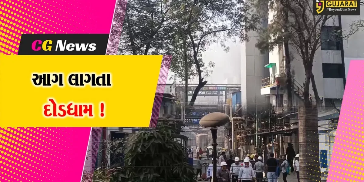 અંકલેશ્વર: ઝાયડ્સ લાઈફ સાયન્સ કંપનીમાં આગ ફાટી નિકળતા દોડધામ