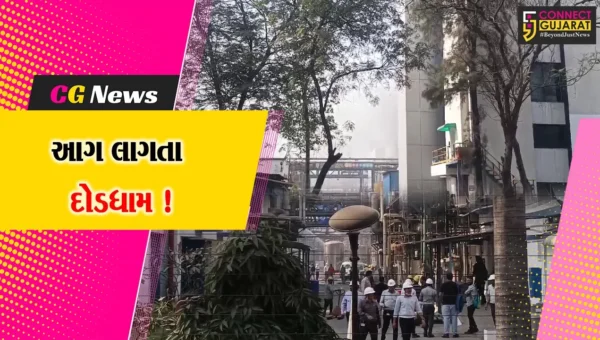 અંકલેશ્વર: ઝાયડ્સ લાઈફ સાયન્સ કંપનીમાં આગ ફાટી નિકળતા દોડધામ