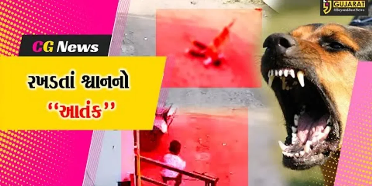વલસાડ : ઘર આંગણે રમતી બાળકી ઉપર રખડતાં શ્વાનનો જીવલેણ હુમલો, સમગ્ર ઘટનાના CCTV ફૂટેજ સામે આવ્યા…