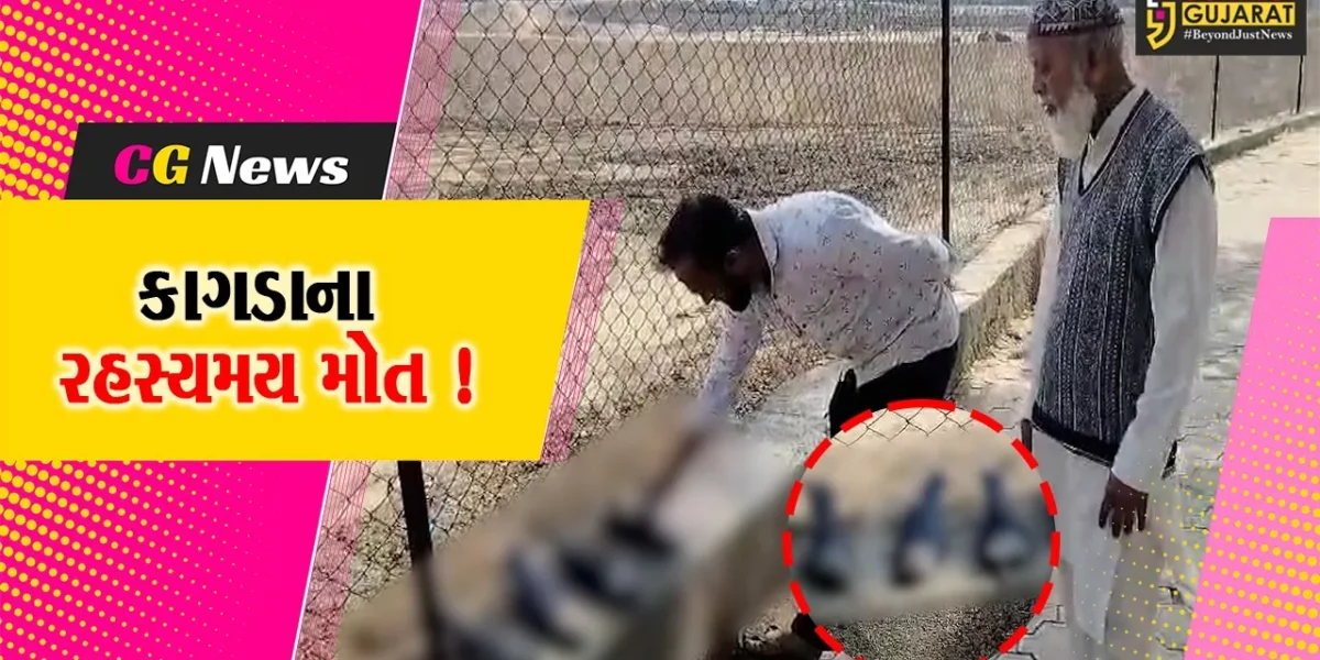ભરૂચ: આમોદ કબ્રસ્તાન નજીક 4 કાગડાના રહસ્યમય સંજોગોમાં મોત, વન વિભાગ તપાસ કરે એવી માંગ