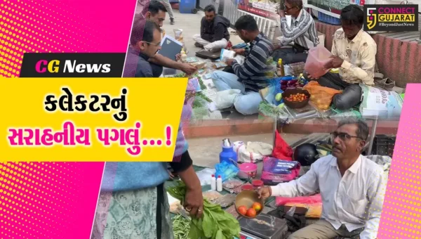 જૂનાગઢ: પ્રાકૃતિક ખેતીનો વ્યાપ વધારવા માટે જિલ્લા કલેકટરનું સરાહનીય પગલું,પ્રાકૃતિક શાકભાજી હાટ શરૂ કર્યું