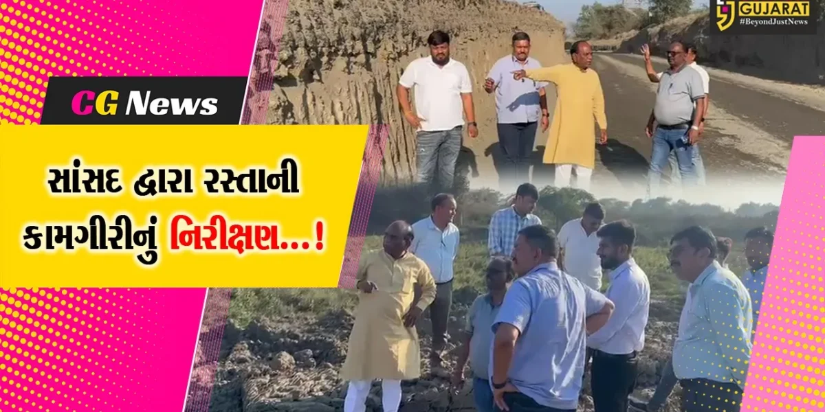 ભરૂચ : ઝઘડિયાના ગુમાનેદેવ ફાટકથી મુલદ બ્રિજ સુધીના રસ્તાની કામગીરીનું નિરીક્ષણ કરતા સાંસદ મનસુખ વસાવા
