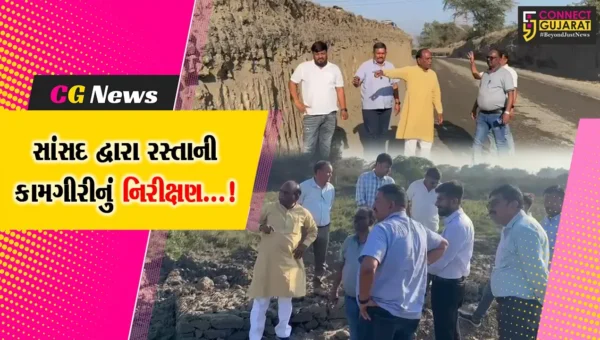 ભરૂચ : ઝઘડિયાના ગુમાનેદેવ ફાટકથી મુલદ બ્રિજ સુધીના રસ્તાની કામગીરીનું નિરીક્ષણ કરતા સાંસદ મનસુખ વસાવા