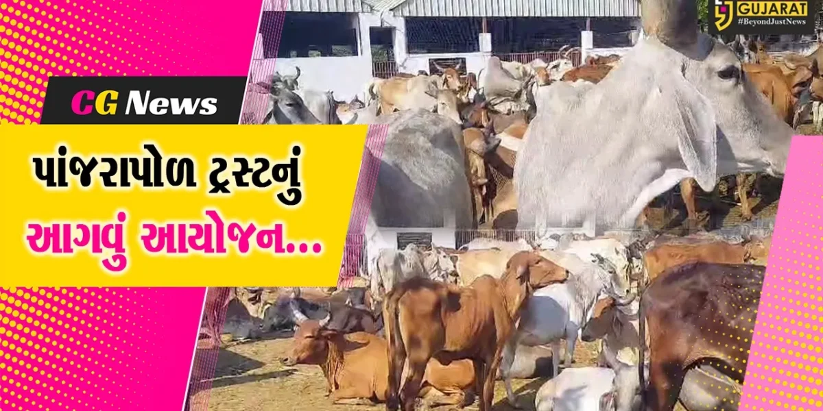 ભરૂચ : દાન-પુણ્યના મહાપર્વ મકરસંક્રાંતિની ઉજવણીને લઇ પાંજરાપોળ ખાતે શહેરીજનો માટે વિશેષ વ્યવસ્થા કરાય…
