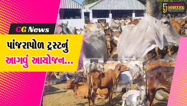ભરૂચ : દાન-પુણ્યના મહાપર્વ મકરસંક્રાંતિની ઉજવણીને લઇ પાંજરાપોળ ખાતે શહેરીજનો માટે વિશેષ વ્યવસ્થા કરાય…
