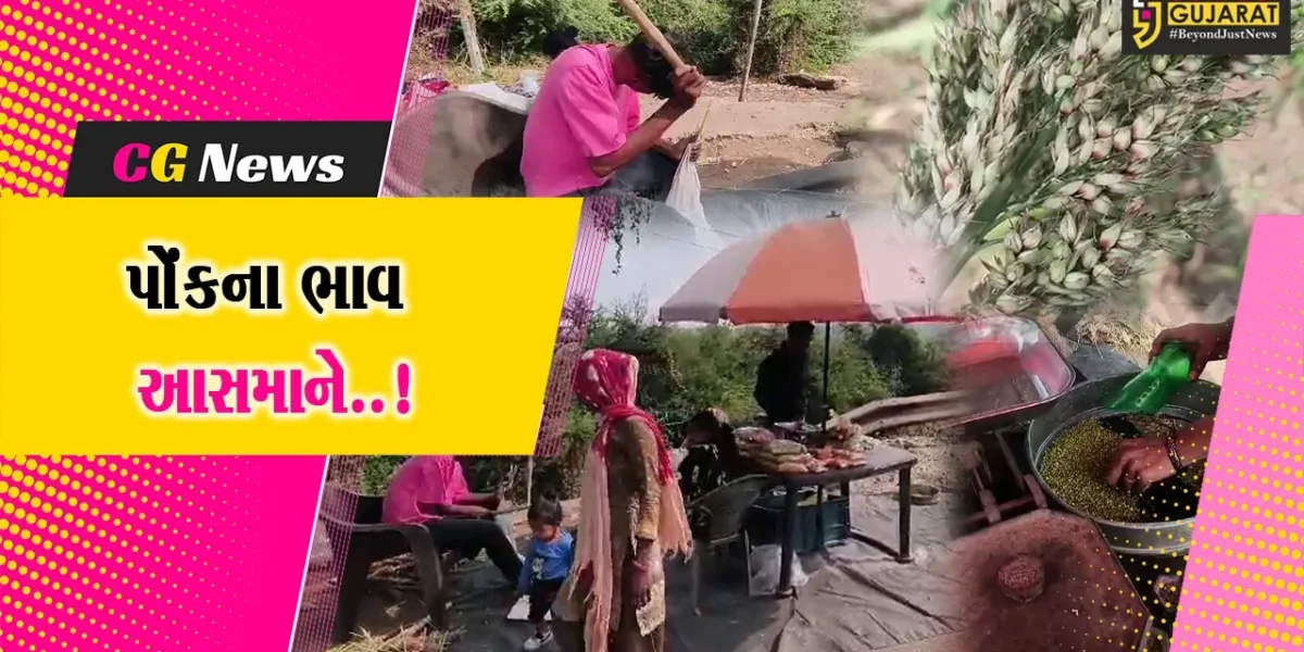 ભરૂચ : પોંકના પાકનું ઉત્પાદન ઓછું અને ભાવ આસમાને પહોચતા ખેડૂતોએ આ વર્ષે વાવણી કરવાનું ટાળ્યું..!