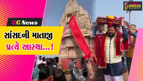 વડોદરા : સાંસદ ડો.હેમાંગ જોષીએ શક્તિપીઠ પાવાગઢ મહાકાળી માતાજીને શીશ ઝુકાવી મંદિરે ધજા ચડાવી