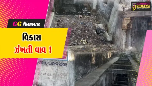 ભરૂચ: મકતમપુરમાં આવેલ 700 વર્ષ જૂની વણઝારી વાવનો અસ્તિત્વ સામે જંગ ! તંત્ર ક્યારે લેશે દરકાર?