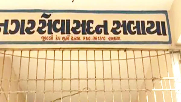 દેવભૂમિ દ્વારકાની સલાયા નગરપાલિકામાં કોંગ્રેસે મારી બાજી,આપનું પણ દમદાર પર્ફોમન્સ,ભાજપના સુપડા થયા સાફ