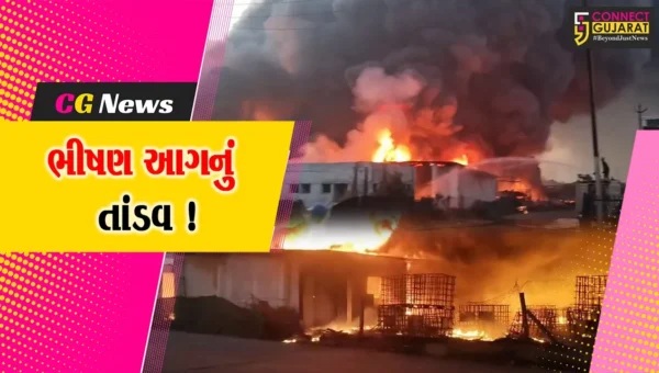 ભરૂચ: જંબુસર પાદરા રોડ પર પ્લાસ્ટિકના બેરલ બનાવતી કંપનીમાં આગનું તાંડવ, 7 કલાક બાદ આગ આવી કાબુમાં !
