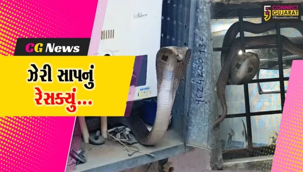 ભરૂચ : રંગ અવધૂત સોસાયટીમાં અત્યંત ઝેરી કોબ્રા સાપ નીકળતા લોકોમાં ફફડાટ, જીવદયા પ્રેમીઓએ કર્યું રેસક્યું…