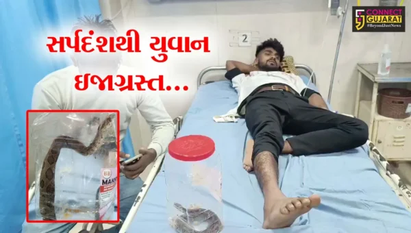 વલસાડ : પગમાં દંશ મારેલા સાપને બોટલમાં લઈને ઇજાગ્રસ્ત યુવાન સારવાર અર્થે હોસ્પિટલ દોડ્યો…