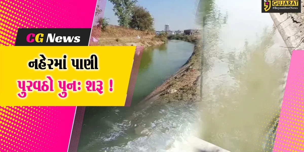 અંકલેશ્વર: કેમિકલ કાંડ બાદ નહેરમાં પાણી પુરવઠો શરૂ,સામાજિક કાર્યકર્તા દ્વારા કસુરવાર ઉદ્યોગ સંચાલકો સામે કડક કાર્યવાહીની માંગ