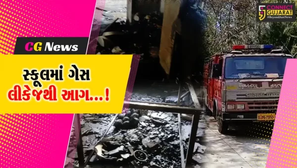 સાબરકાંઠા : હિમંતનગર સેન્ટ ઝેવિયર્સ સ્કૂલમાં ગેસ લીકેજથી લાગી આગ,રસોડામાં કામ કરતી ચાર મહિલા સલામત