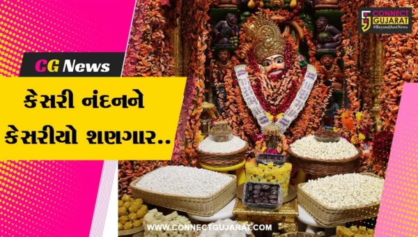 બોટાદ : શ્રી કેસરી નંદનને કેસુડાના કેસરી ફુલોનો કેસરીયો શણગાર તેમજ ધાણી-ખજૂર-દાળિયાનો ભવ્ય અન્નકૂટ ધરાવાયો…