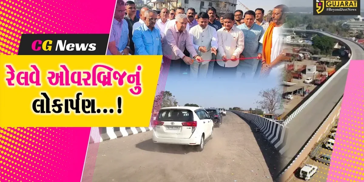 વલસાડ : વાપી નગરજનોને મળશે ટ્રાફિક માંથી છુટકારો,બલીઠા રેલવે ઓવરબ્રિજનું નાણમંત્રીના હસ્તે કરાયું લોકાર્પણ